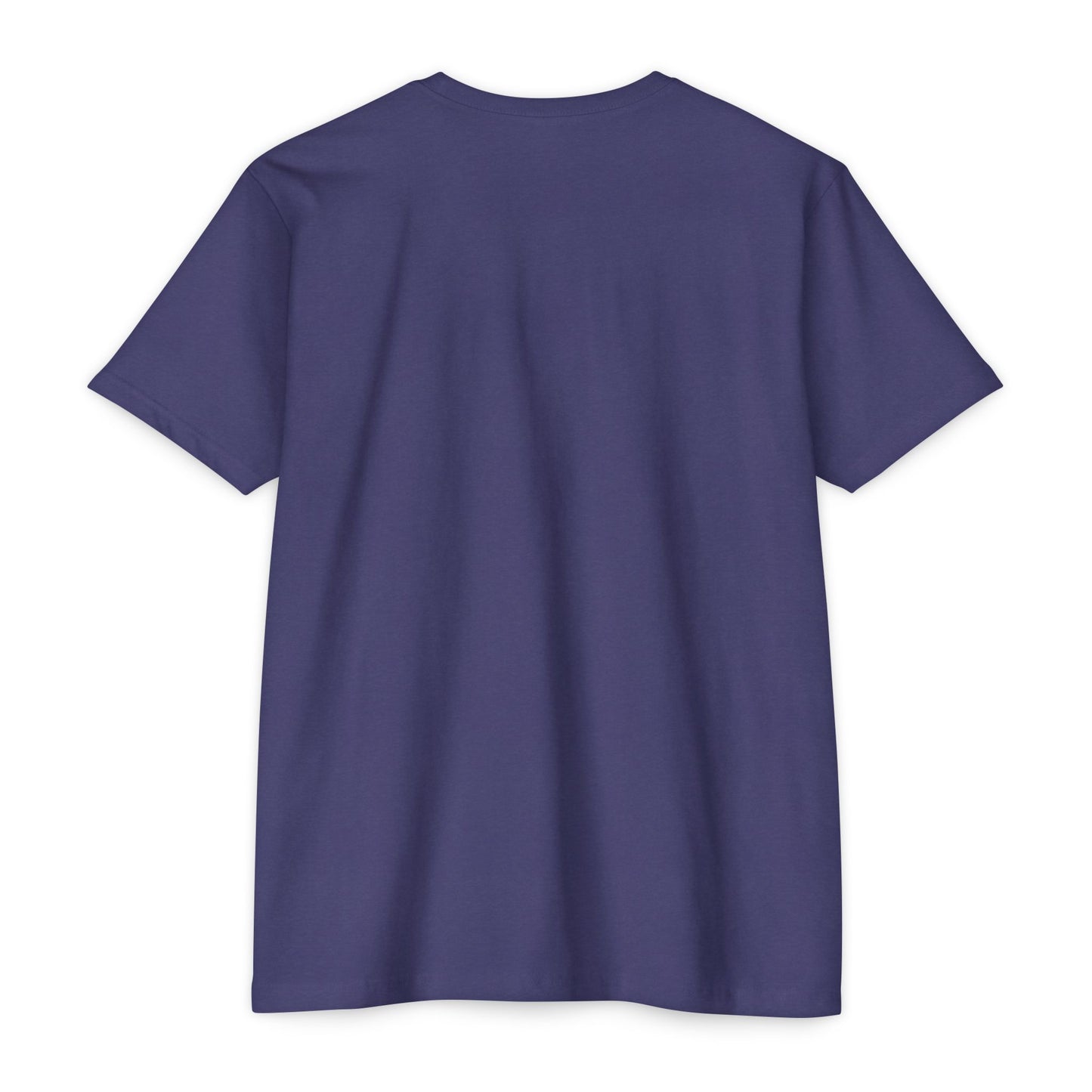 BCDS Classic Tee Seafoam