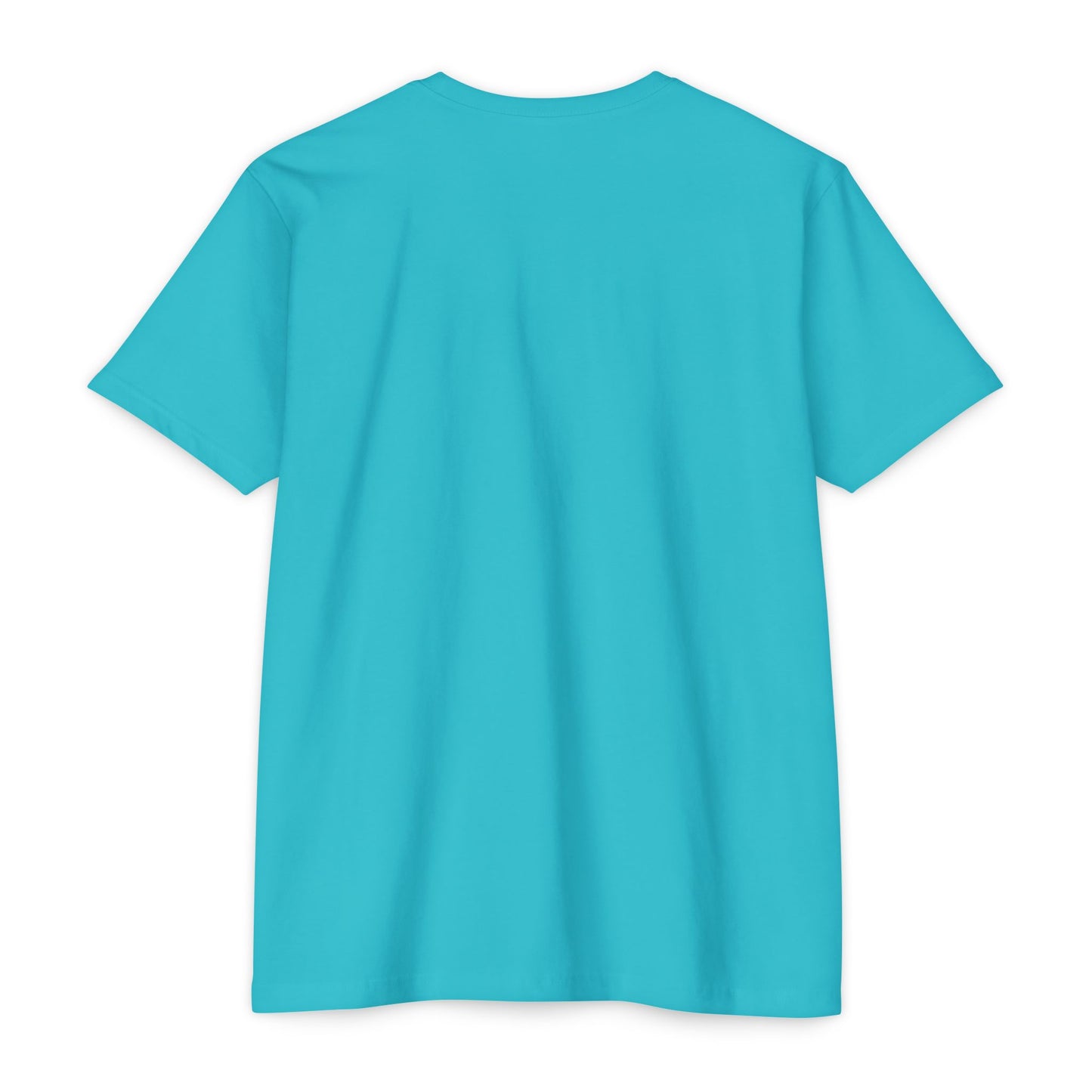BCDS Classic Tee Seafoam