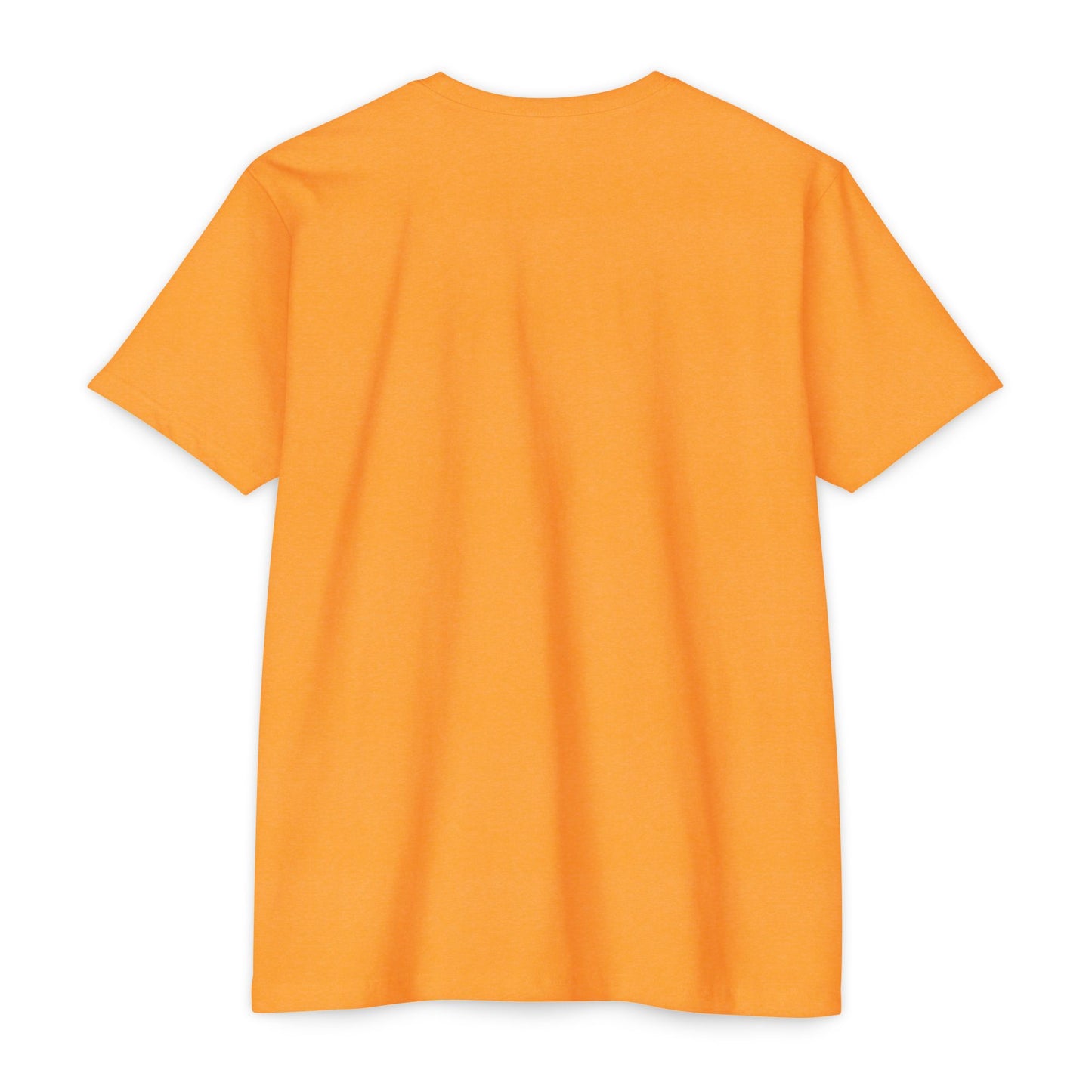 BCDS Classic Tee Seafoam