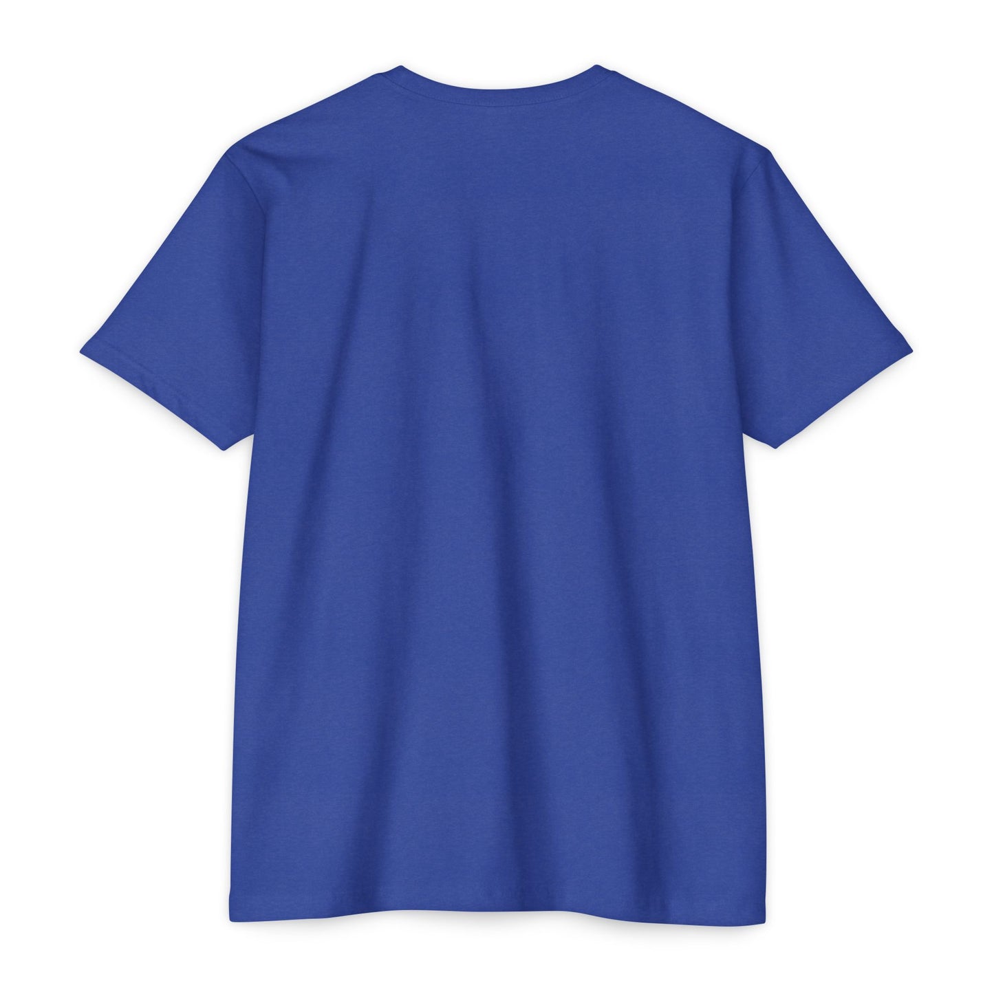 BCDS Classic Tee Seafoam