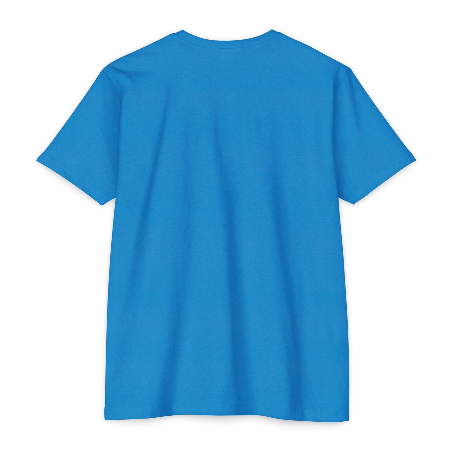 BCDS Classic Tee Seafoam