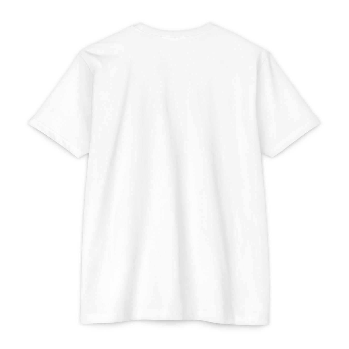 BCDS Classic Tee Seafoam