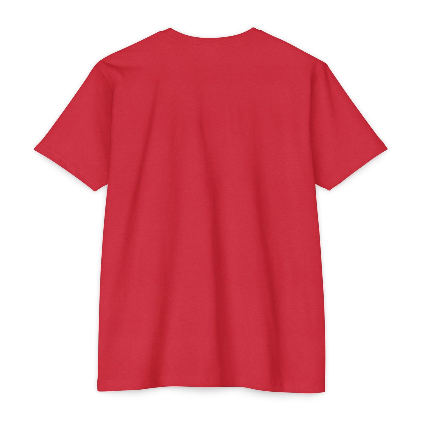 BCDS Classic Tee Seafoam